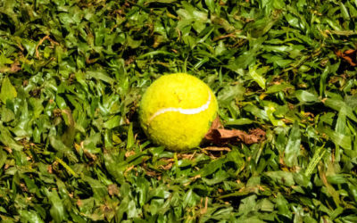 Construction Mini tennis a Gordes : Cinq règles pour votre terrain de tennis à domicile