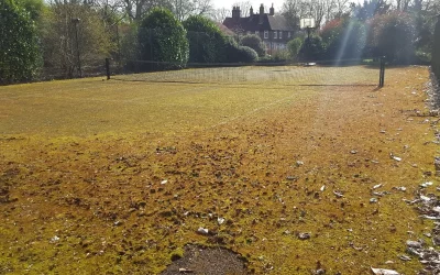 L&rsquo;intégration harmonieuse du constructeur court de tennis à Nice dans l&rsquo;environnement local