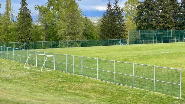 green grass field during daytime