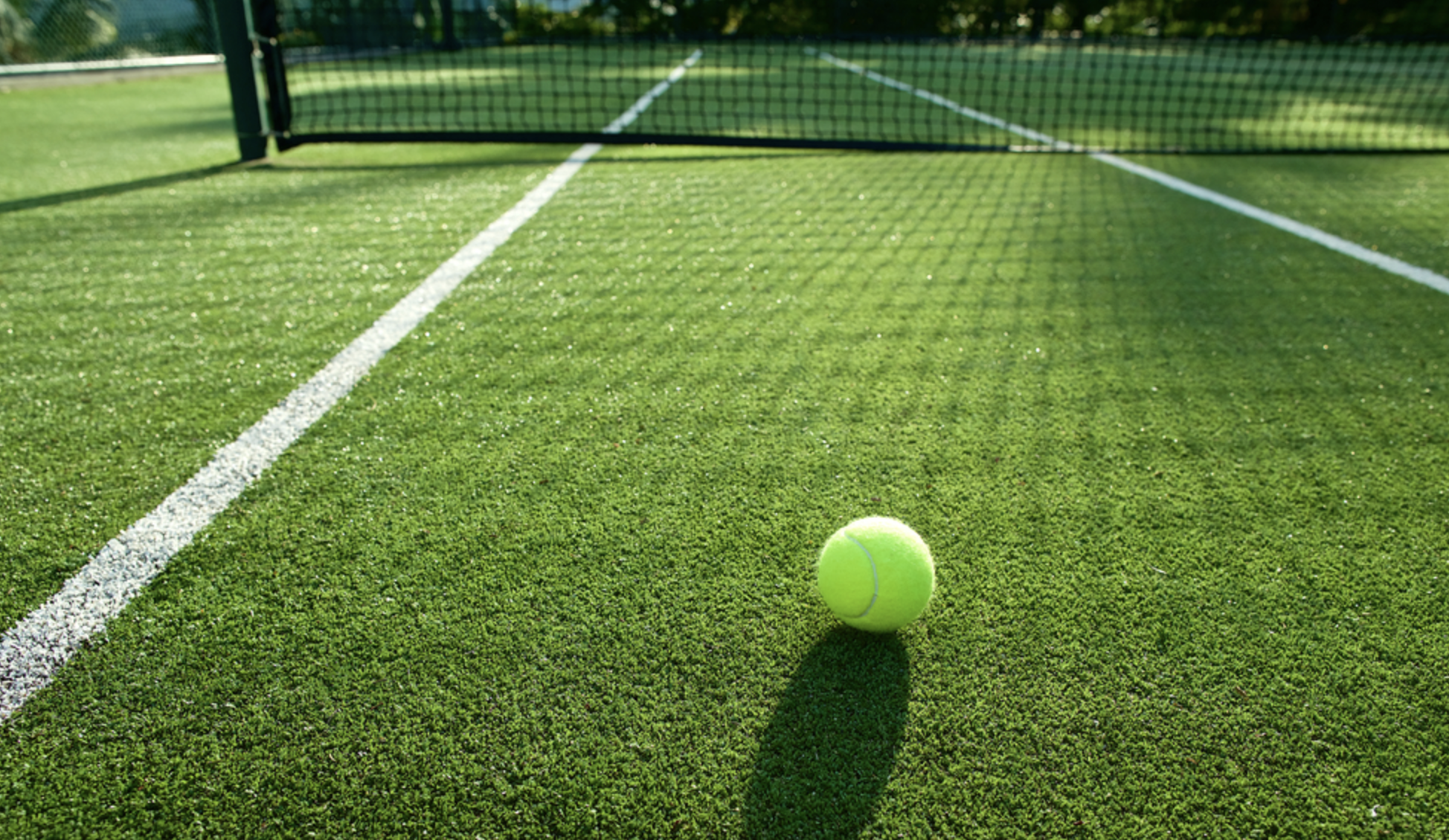 green grass field during daytime