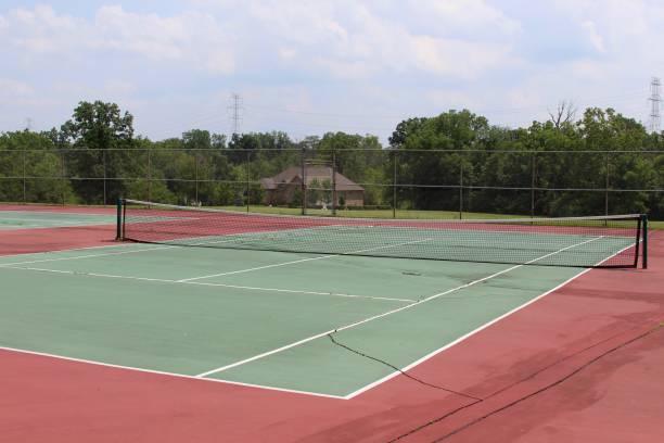 green grass field during daytime