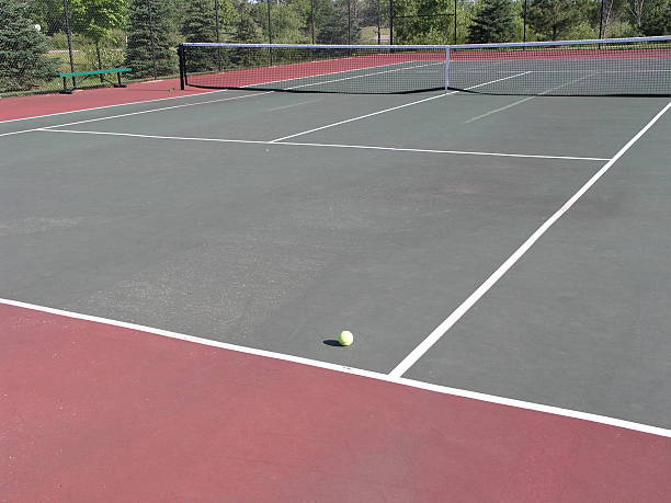 green grass field during daytime