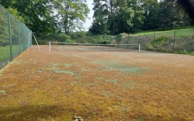 Pourquoi les courts de tennis construits par Service Tennis à Mougins sont-ils appréciés pour leur design innovant ?