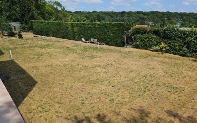 Pourquoi Service Tennis est-elle reconnue pour sa fiabilité dans les projets de courts de tennis à Cannes ?