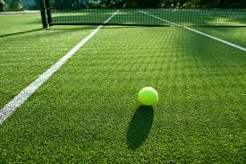La recherche de subventions pour la construction d'un terrain de tennis en résine synthétique à Nice est une étape pour réduire les coûts