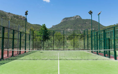 Existe-t-il des Formations Spécifiques pour l’Entretien des Terrains de Tennis en Gazon Synthétique à Nice ?