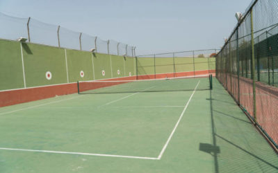 Combien de fois par an faut-il entretenir un terrain de tennis en gazon synthétique à Nice ?