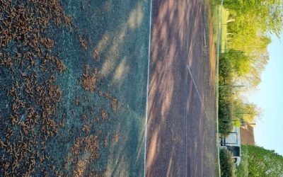 Comment gère-t-on les projets de construction en intérieur avec des contraintes d’espace à Cannes ?