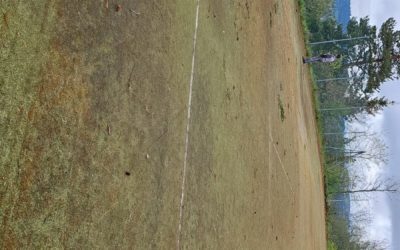 Pourquoi la Conception de Terrains Multisports est-elle une Expertise à Cannes ?