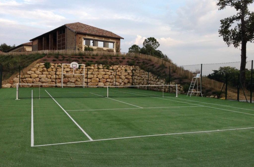 Service Tennis de Nice envisage d'intégrer des fonctionnalités dans la construction de terrains de tennis en gazon synthétique a Nice.