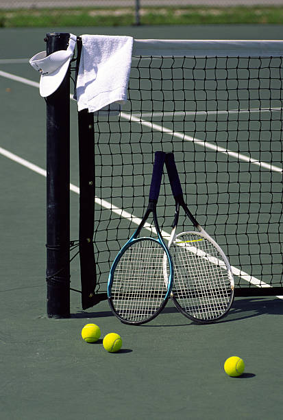 Service Tennis, leader de la construction de courts de tennis à Mougins, joue un rôle crucial dans le développement du tennis local