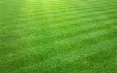 L&rsquo;utilisation des technologies de pointe dans la conception d&rsquo;un système de drainage pour un court de tennis en gazon synthétique à Nice pour les écoles de sport