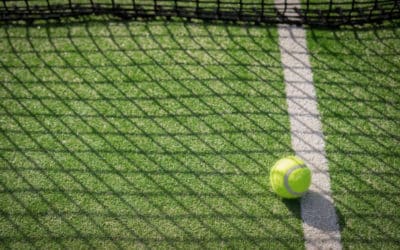 Construction court de tennis Toulon : Comment Service Tennis s&rsquo;adapte-t-il aux réglementations locales en matière de protection de la faune et de la flore dans la construction de courts de tennis ?