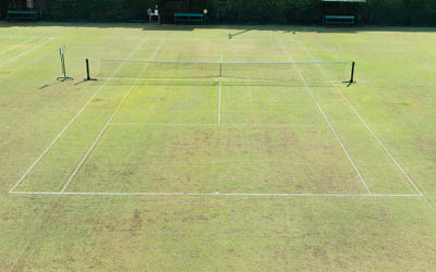 Construction de court de tennis à Cannes par Service Tennis : Pourquoi intégrer des espaces verts autour du court ?