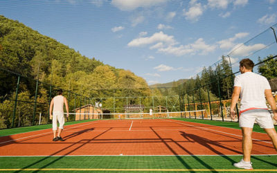 Constructeur Court de Tennis Alpes-Maritimes : Quelle est la Durée de Vie Attendue ?