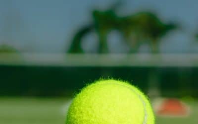 Comment Choisir un Revêtement pour la Construction de Court de Tennis à Toulon Adapté au Climat ?