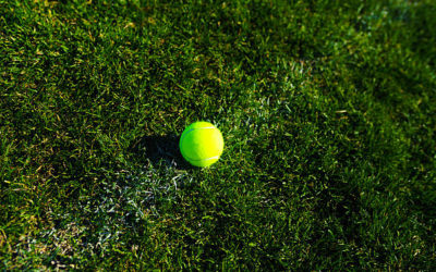 Construction de terrain de tennis en gazon synthétique à Toulon : Les solutions de Service Tennis pour les conditions difficiles