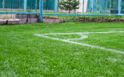 Titre: Constructeur de terrains de tennis en gazon synthétique à Nice : Expertise en Gestion de l’Érosion et des Nuisibles