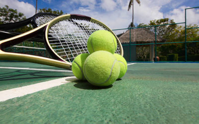 Constructeur Court de Tennis en Gazon Synthétique à Nice : Offre Complète avec Accessoires