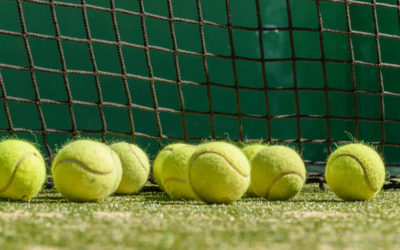 Construction terrain de tennis en gazon synthétique à Toulon : Existe-t-il des options pour des courts multi-sports en gazon synthétique chez Service Tennis ?