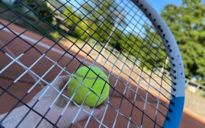 Construction terrain de tennis Toulon : Peut-on demander des évaluations de l&rsquo;efficacité énergétique pour les terrains de tennis construits par Service Tennis ?