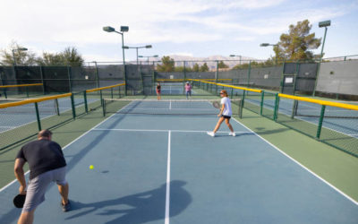 Comment choisir le bon type de clôture pour la rénovation de votre court de tennis à Mougins ?