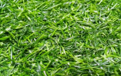 Construction terrain de tennis en gazon synthétique Toulon : Service Tennis offre-t-il des garanties sur la performance et la durabilité de son gazon synthétique?