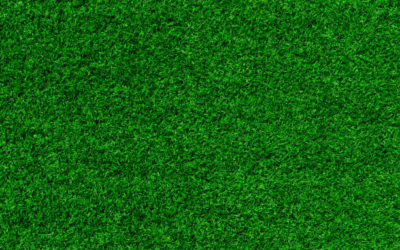 Construction terrain de tennis en gazon synthétique à Toulon : Quelles sont les options de gazon synthétique offrant le meilleur rebond pour le tennis compétitif chez Service Tennis ?