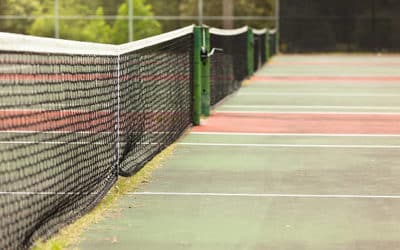 Construction courts de tennis à Toulon : Quelle est l&rsquo;importance de la gestion des espèces envahissantes autour des courts de tennis à Toulon ?