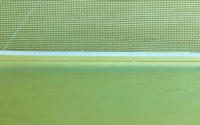 Collaboration entre les constructeurs de courts en gazon synthétique à Nice et les architectes paysagistes