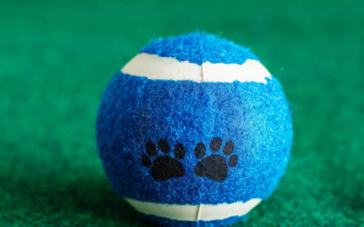 Construction terrain de tennis en gazon synthétique à Toulon : Quelles sont les options de Service Tennis pour des terrains de tennis adaptés aux zones résidentielles ?