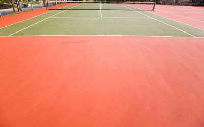 Construction Court de Tennis à Paris : Comment Service Tennis Aborde-t-il la Question de la Biodiversité Locale ?