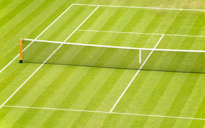 Construction de Courts de Tennis à Toulon : Service Tennis, une Solution pour Tous les Niveaux de Compétence
