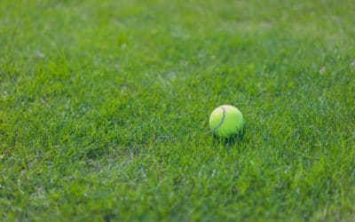 Construction d&rsquo;un court de tennis en gazon synthétique à Nice dans les Alpes Maritimes :Assurer la Conformité du Gazon Synthétique pour les Académies de Tennis à Nice, Alpes-Maritimes