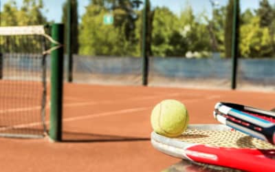 Construction de Terrains de Tennis à Toulon dans le Var : Intégration de Systèmes de Surveillance Environnementale pour Protéger la Faune et la Flore Locales