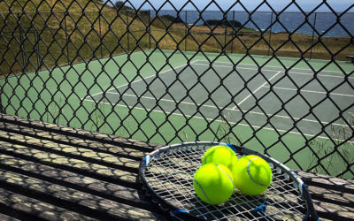 Les Avancées en Accessibilité des Courts de Tennis en Gazon Synthétique à Nice pour les Hôtels de Luxe