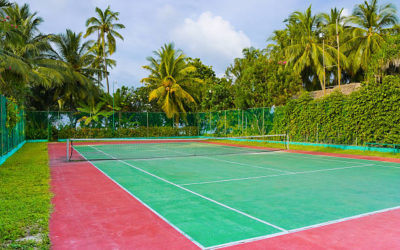 Des Courts de Tennis en Gazon Synthétique à Nice : Alliance de Luxe et Esthétique