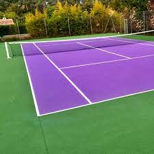 Consultation Communautaire pour les Projets de constructeur de Court de Tennis à Nice dans les Alpes Maritimes