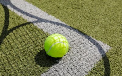 Intégration des considérations pour la faune et la flore locales dans la construction d&rsquo;un court de tennis pour les hôtels de luxe à Toulon