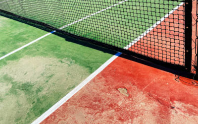 Assurer la Sécurité des Animaux et de la Faune Locale lors de la Construction d’un Court de Tennis à Toulon dans le Var pour les Centres de Loisirs