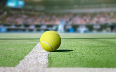 Les Impacts Potentiels sur les Populations de Mycètes Locaux lors de la Construction de Courts de Tennis dans les Bouches-du-Rhône