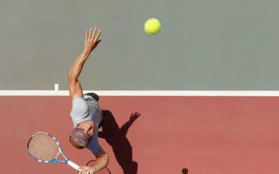 Les Impacts Potentiels sur les Populations de Poissons Locaux lors de la Construction de Courts de Tennis dans les Bouches-du-Rhône