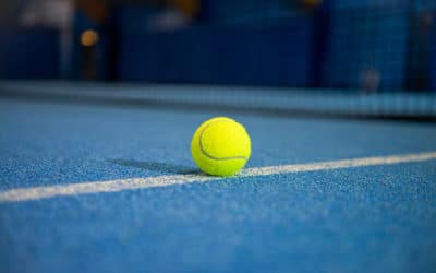 Quelles sont les meilleures pratiques pour la gestion des flux de visiteurs sur un court de tennis haut de gamme à Toulon ?