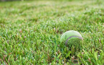 Construction de Courts de Tennis Haut de Gamme à Marseille : Garanties pour les Projets