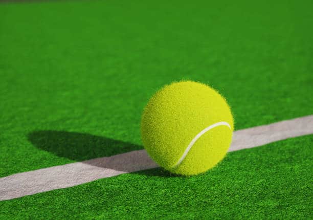 Constructeur d'un court de tennis Nice