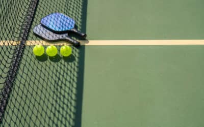 Construction de courts de tennis à Marseille : Les impacts potentiels sur les habitats aquatiques locaux