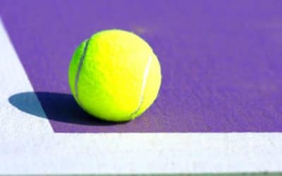 Les politiques de gestion des risques pour la construction du court de tennis à Toulon