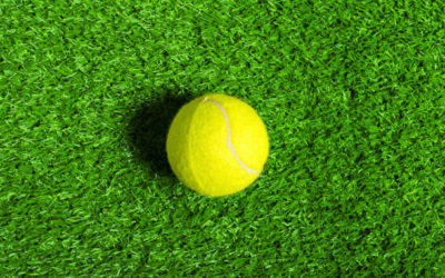 Constructeur de Courts de Tennis en Gazon Synthétique Nice dans les Alpes-Maritimes les Conseils pour Obtenir des Recommandations pour les Centres de Loisirs