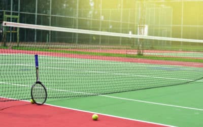 Construction de courts de tennis à Marseille : Les impacts potentiels sur les zones de reproduction des mammifères locaux lors de la construction de courts de tennis dans les Bouches-du-Rhône