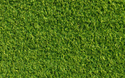 Construction court de tennis à Marseille : Intégration dans les infrastructures sportives et de loisirs